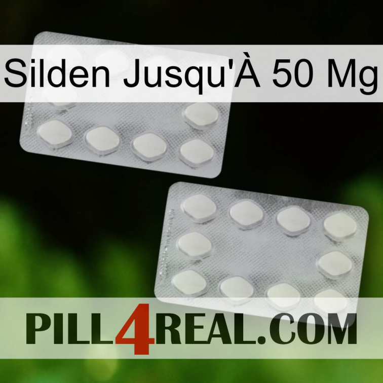 Silden Up 50 Mg 17